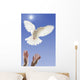 Hands releasing white dove;Vancouver british columbia canada Wall Mural