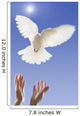 Hands releasing white dove;Vancouver british columbia canada Wall Mural
