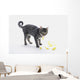 Grey Tabby Cat Licking Wall Decal