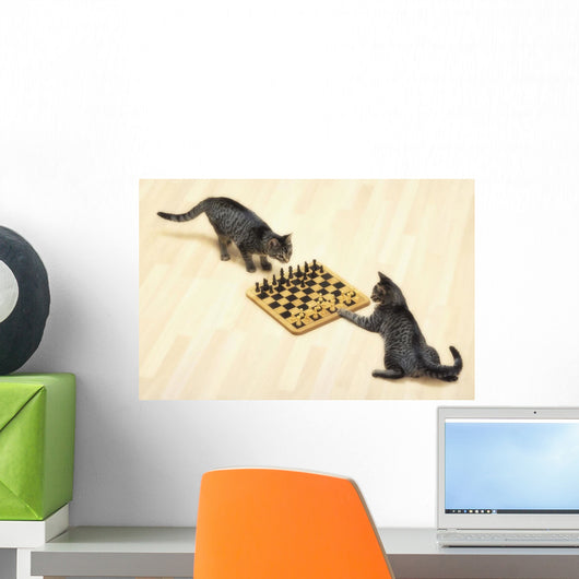 Two grey tabby cats playing chess;Vancouver british columbia canada Wall Mural