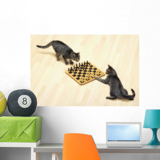 Two grey tabby cats playing chess;Vancouver british columbia canada Wall Mural