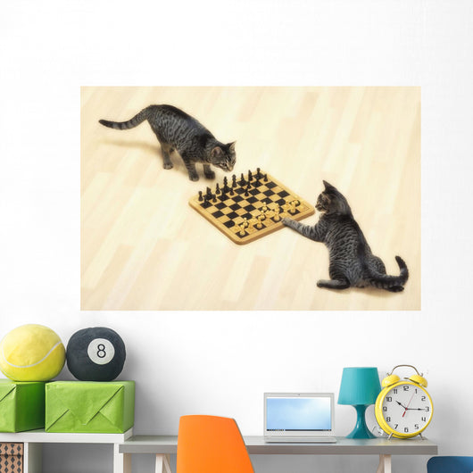 Two grey tabby cats playing chess;Vancouver british columbia canada Wall Mural