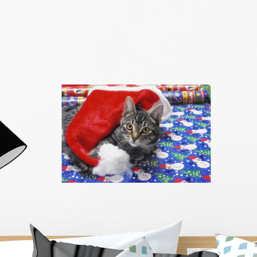 Grey tabby cat with santa claus hat lying Wall Mural