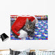Grey tabby cat with santa claus hat lying Wall Mural