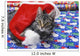 Grey tabby cat with santa claus hat lying Wall Mural