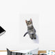 Grey Tabby Cat Looking Wall Decal