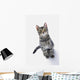 Grey Tabby Cat Looking Wall Decal