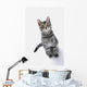 Grey Tabby Cat Looking Wall Decal