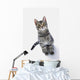 Grey Tabby Cat Looking Wall Decal