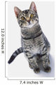Grey Tabby Cat Looking Wall Decal