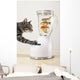 Grey tabby cat with paw Wall Mural