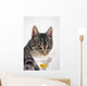 Grey tabby cat drinking martini;Vancouver british columbia canada Wall Mural