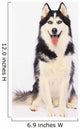 Portrait Siberian Husky British Wall Decal