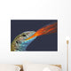 Fire-breathing rainbow lizard;British columbia canada Wall Mural