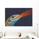 Fire-breathing rainbow lizard;British columbia canada Wall Mural
