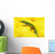 Day gecko on ear of yellow corn;British columbia canada Wall Mural