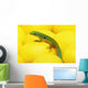 Day gecko on ear of yellow corn;British columbia canada Wall Mural