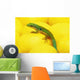 Day gecko on ear of yellow corn;British columbia canada Wall Mural