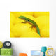 Day gecko on ear of yellow corn;British columbia canada Wall Mural