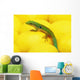 Day gecko on ear of yellow corn;British columbia canada Wall Mural
