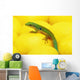 Day gecko on ear of yellow corn;British columbia canada Wall Mural