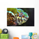 Male panther chameleon ;British columbia canada Wall Mural