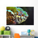 Male panther chameleon ;British columbia canada Wall Mural