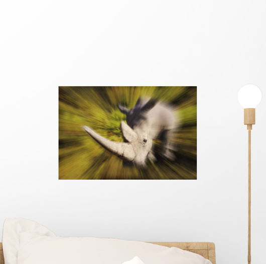 Charging rhinoceros;Africa Wall Mural