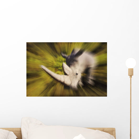 Charging rhinoceros;Africa Wall Mural