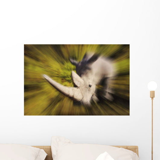 Charging rhinoceros;Africa Wall Mural