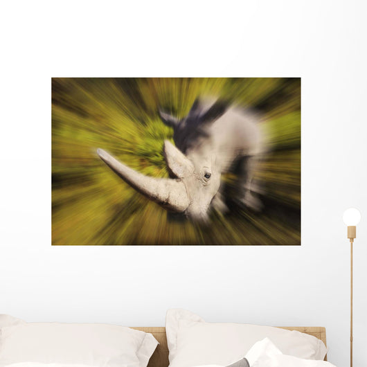 Charging rhinoceros;Africa Wall Mural
