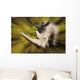 Charging rhinoceros;Africa Wall Mural
