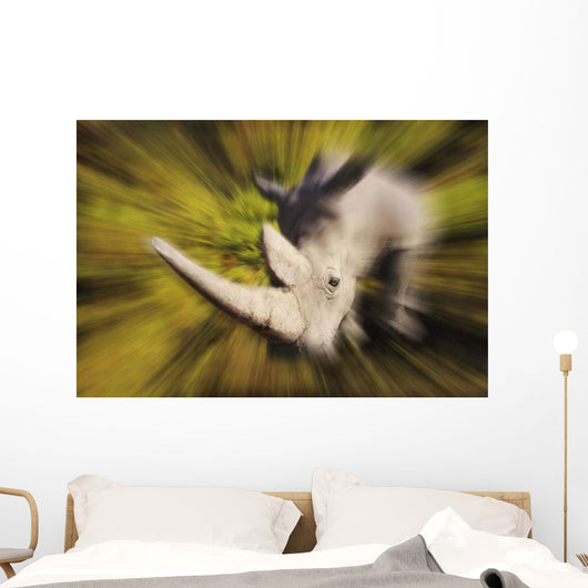 Charging rhinoceros;Africa Wall Mural