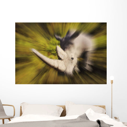 Charging rhinoceros;Africa Wall Mural