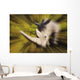 Charging rhinoceros;Africa Wall Mural
