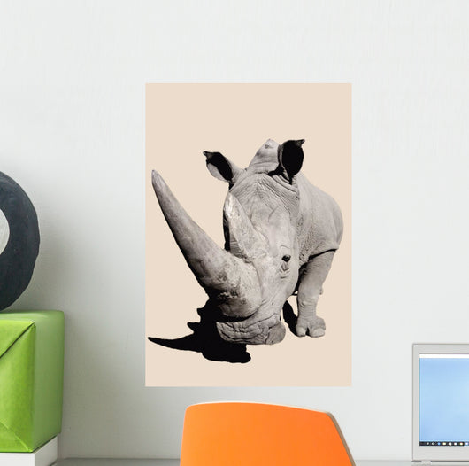 Rhinoceros;Africa Wall Mural
