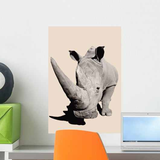 Rhinoceros;Africa Wall Mural