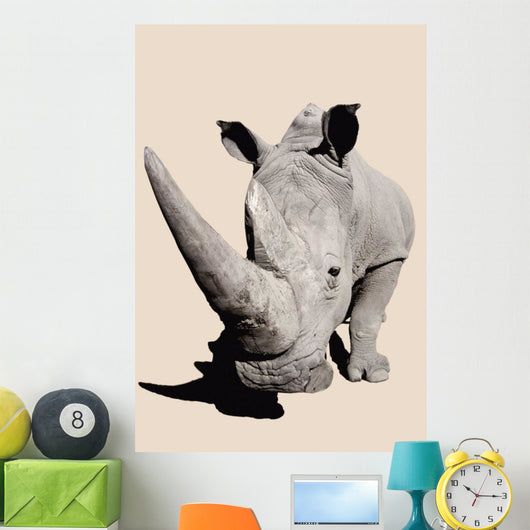 Rhinoceros;Africa Wall Mural