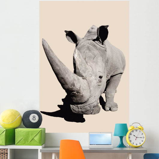 Rhinoceros;Africa Wall Mural