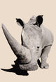 Rhinoceros;Africa Wall Mural
