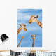 Four giraffes looking downward;Africa Wall Mural