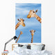 Four giraffes looking downward;Africa Wall Mural