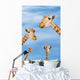 Four giraffes looking downward;Africa Wall Mural