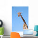 A giraffe against a blue sky;Africa Wall Mural