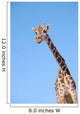 A giraffe against a blue sky;Africa Wall Mural