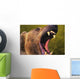 Roaring grizzly bear's face rocky mountains;United states of america Wall Mural