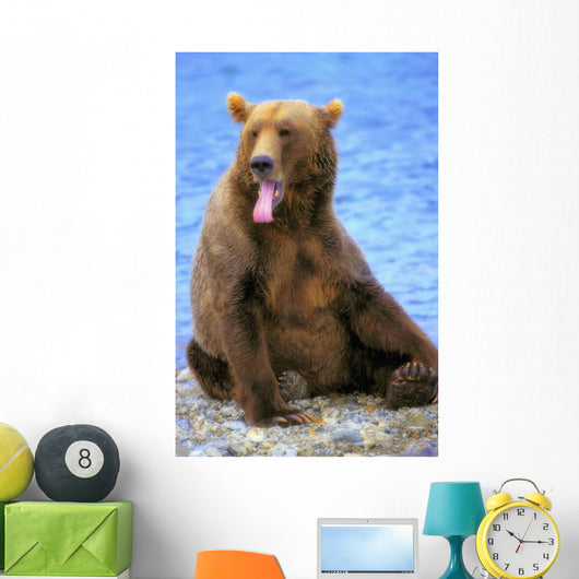 Yawning Grizzly Bear Sitting Wall Decal
