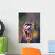 Roaring mandrill baboon;Florida united states of america Wall Mural
