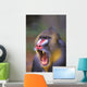 Roaring mandrill baboon;Florida united states of america Wall Mural
