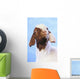 Goat;British columbia canada Wall Mural